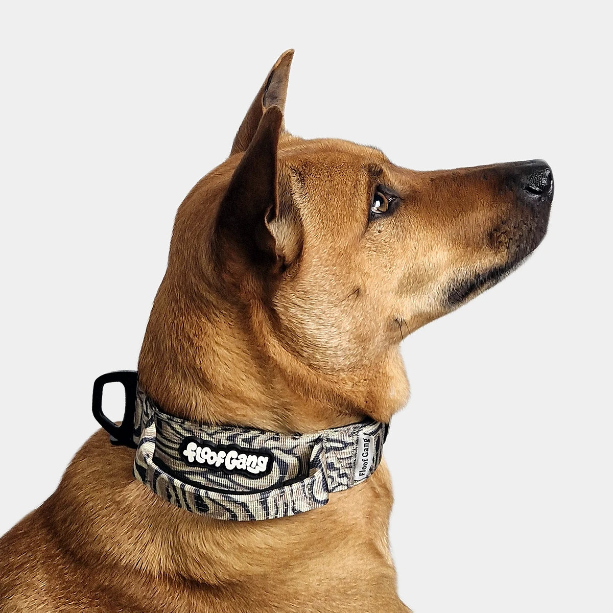 Tactical Dog Set - 'Desert Camo' - 4cm - Floof Gang