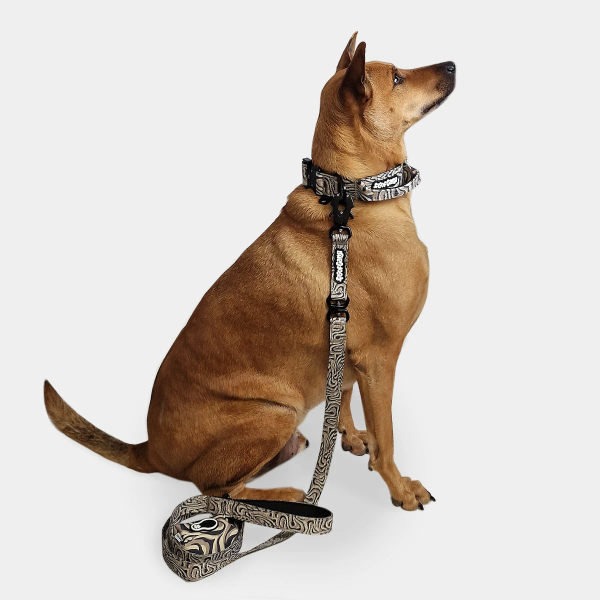 Tactical Dog Collar - 'Desert Camo' - 4cm - Floof Gang