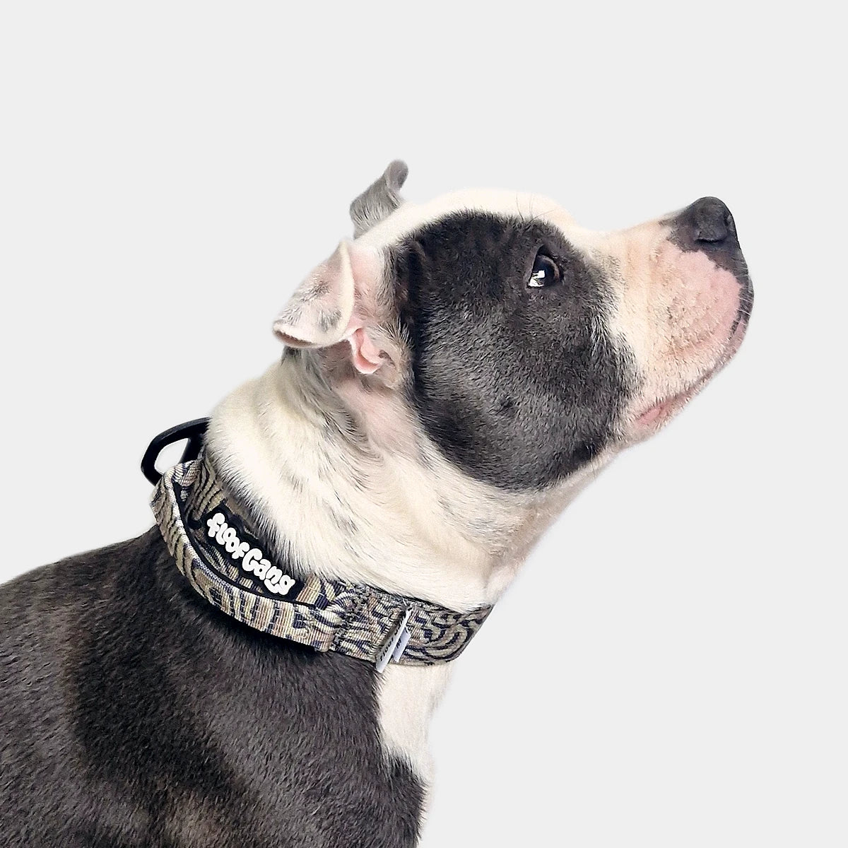 Tactical Dog Collar - 'Desert Camo' - 3cm - Floof Gang