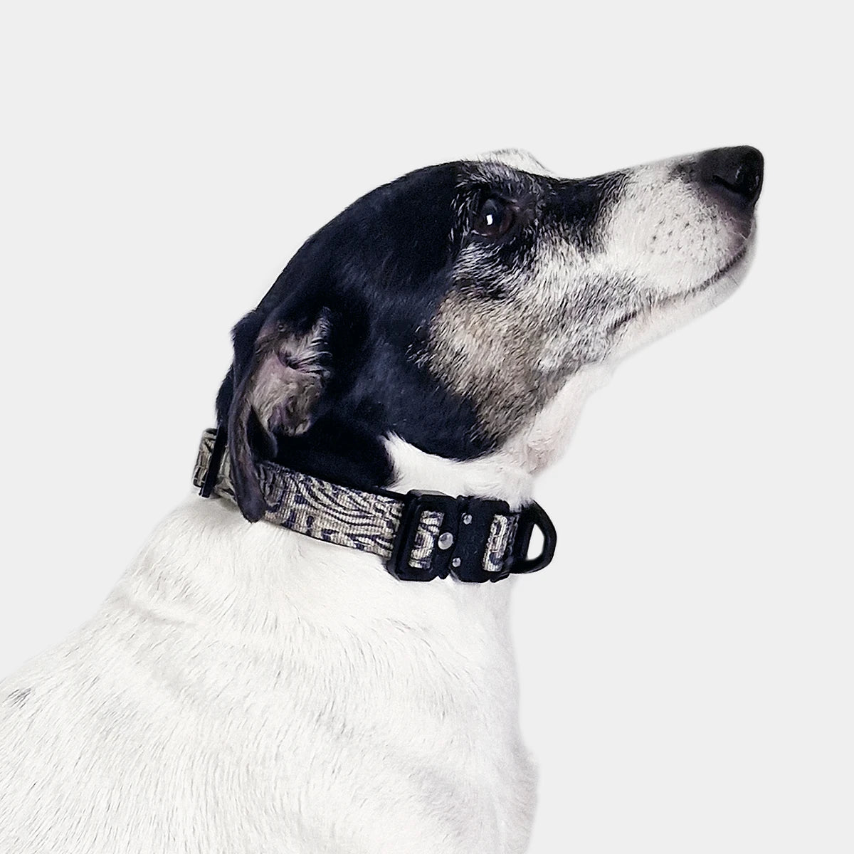 Tactical Dog Collar - 'Desert Camo' - 2cm - Floof Gang