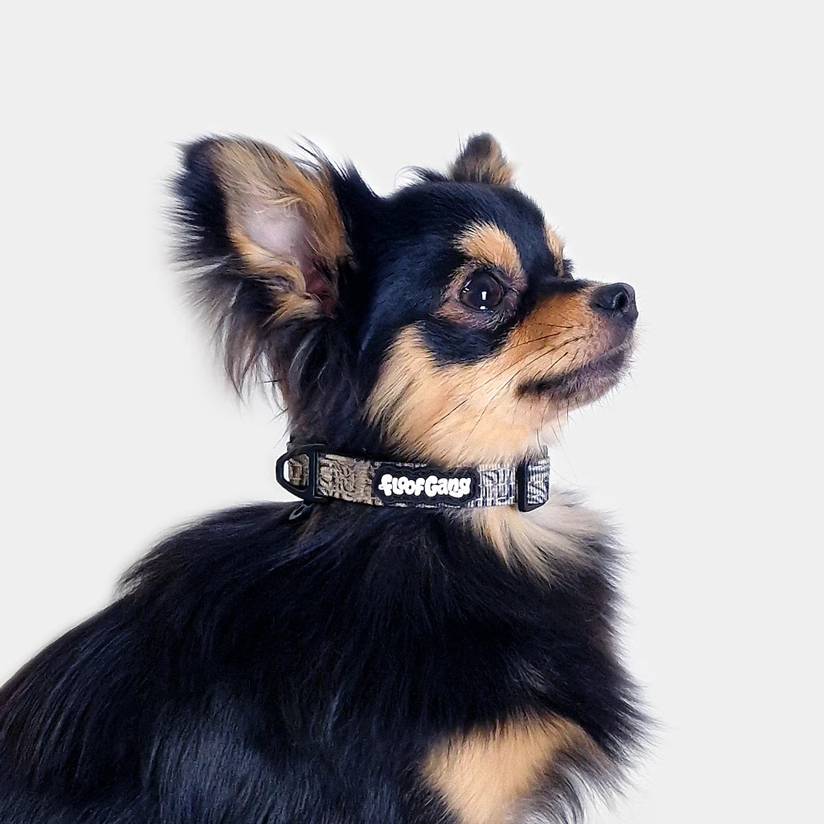 Tactical Dog Collar - 'Desert Camo' - 1.5cm - Floof Gang