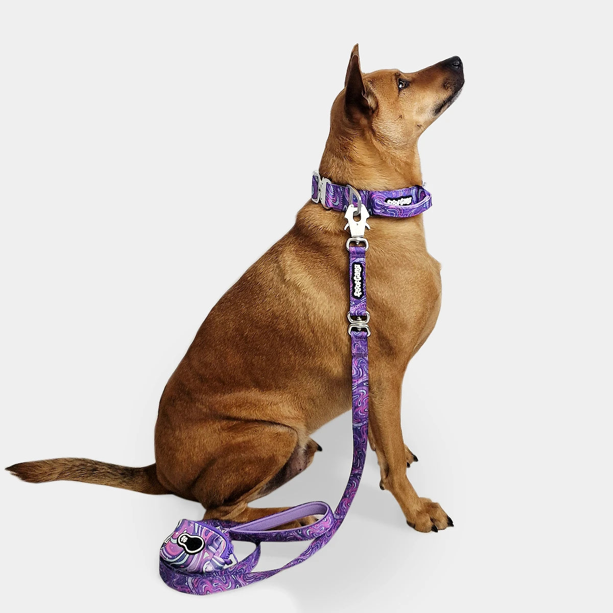 Tactical Dog Collar - 'Galaxy' - 4cm - Floof Gang