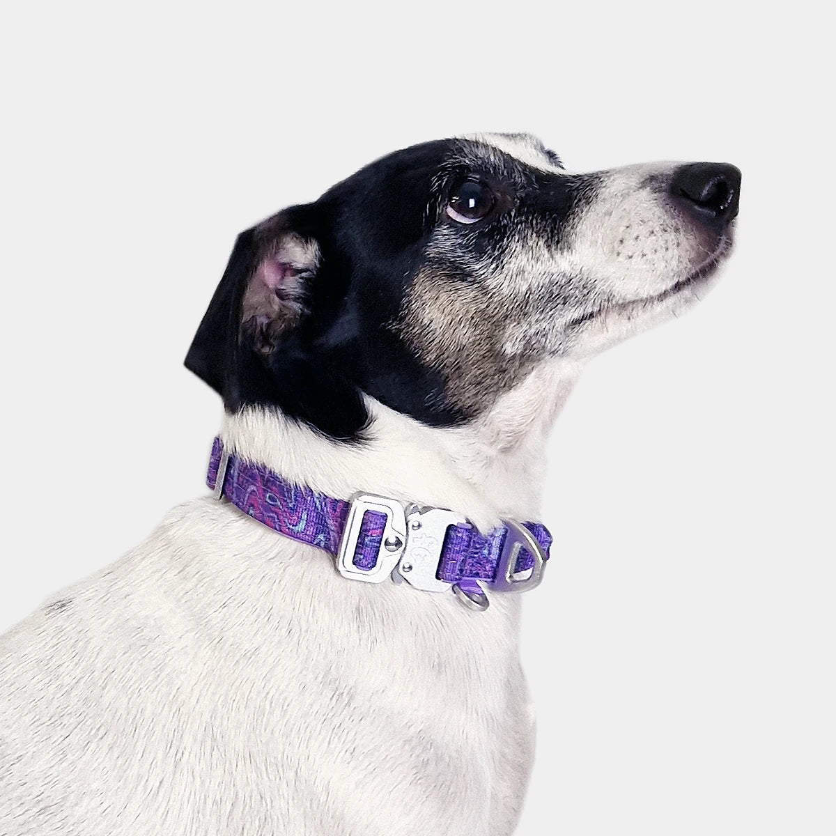 Tactical Dog Collar - 'Galaxy' - 2cm - Floof Gang