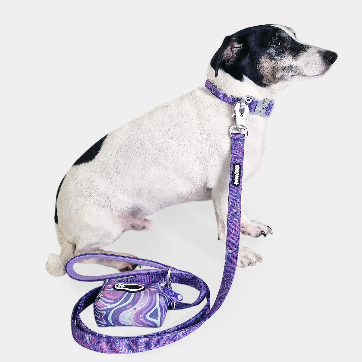 Tactical Dog Lead - 'Galaxy' - Small - Floof Gang