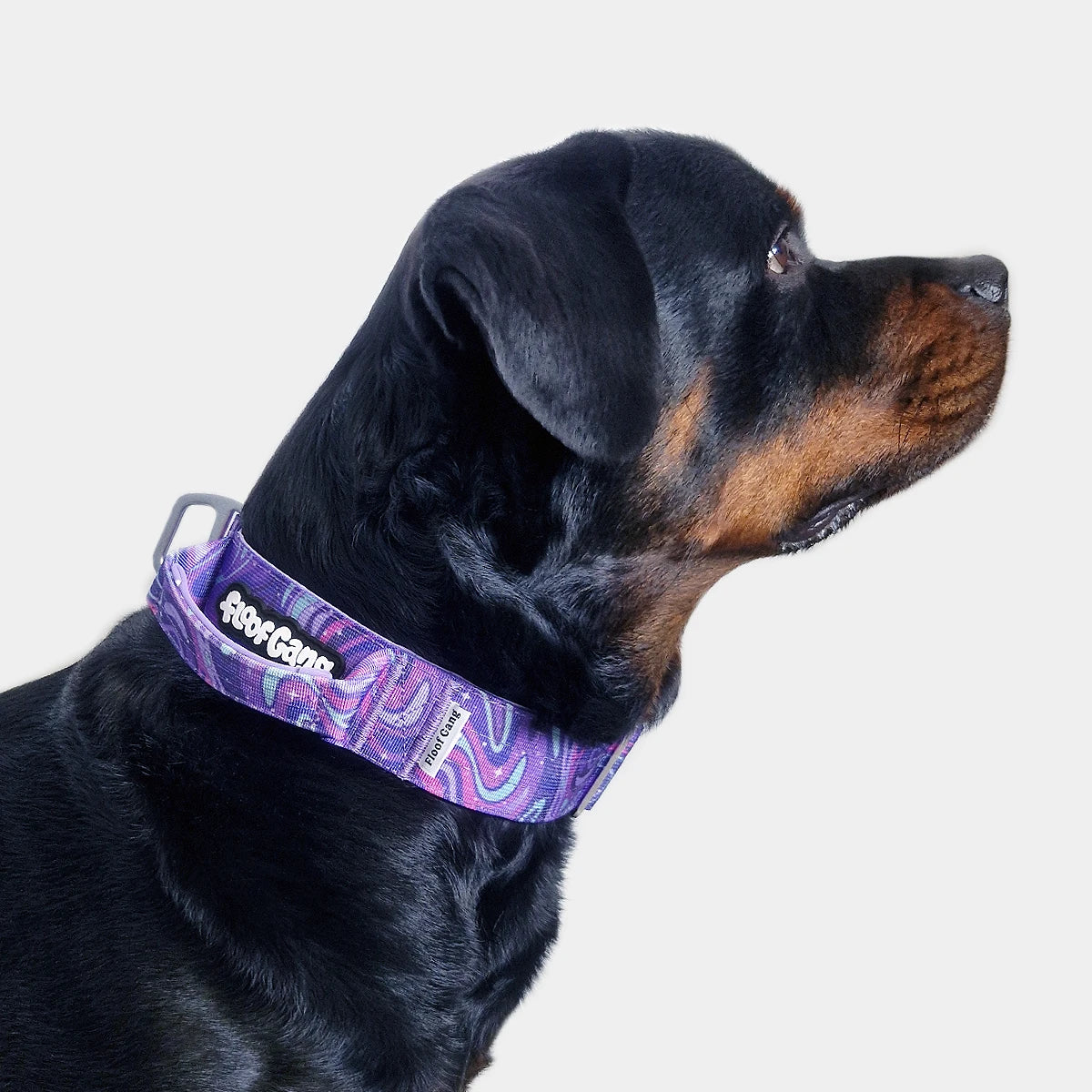 Tactical Dog Collar - 'Galaxy' - 5cm - Floof Gang