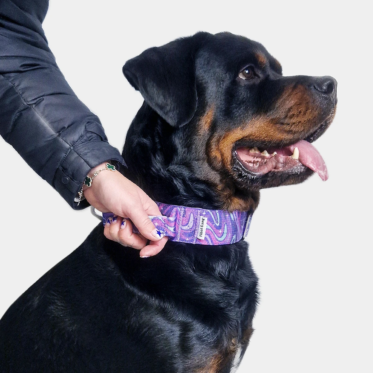 Tactical Dog Set - 'Galaxy' - 5cm - Floof Gang