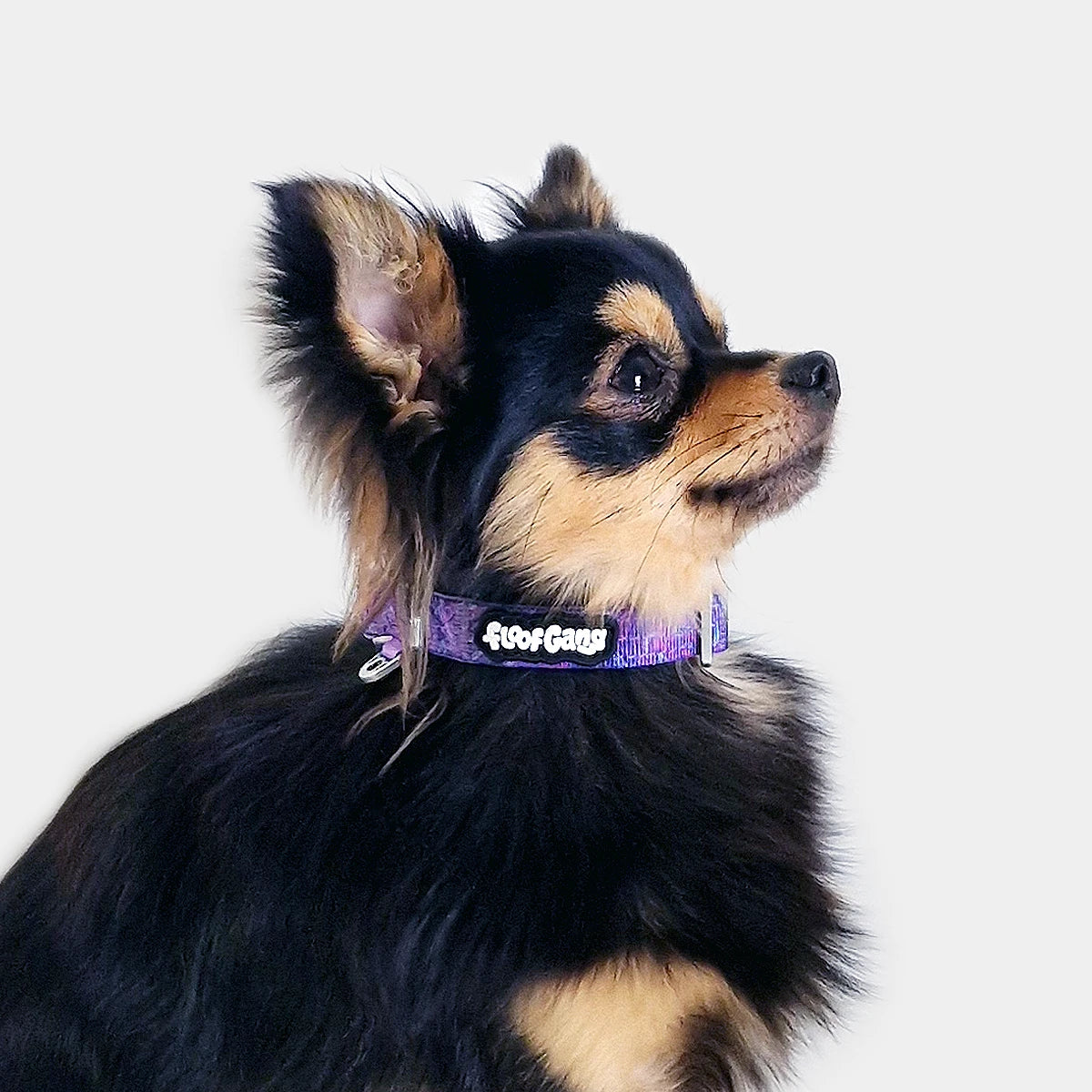 Tactical Dog Set - 'Galaxy' - 1.5cm - Floof Gang
