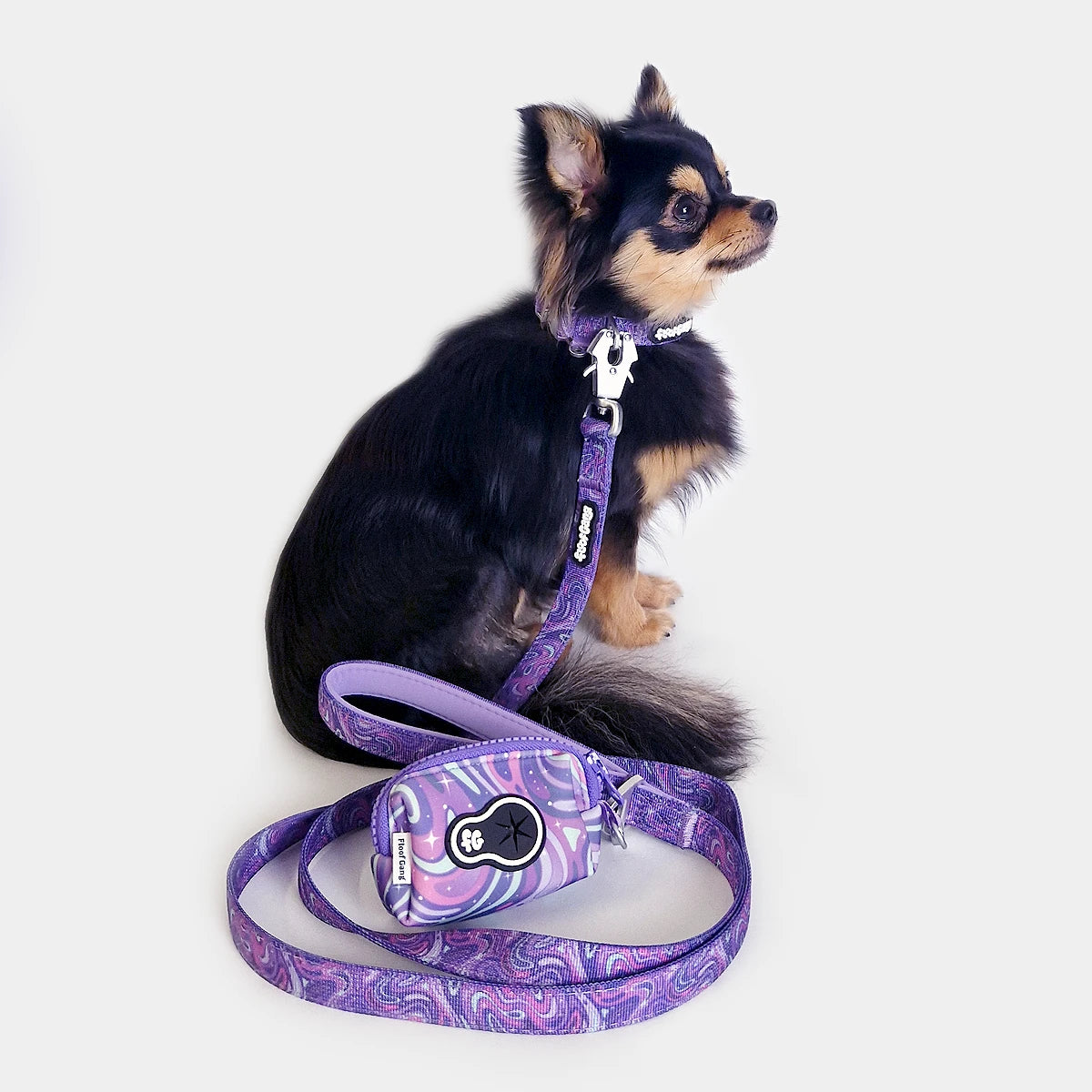 Tactical Dog Collar - 'Galaxy' - 1.5cm - Floof Gang