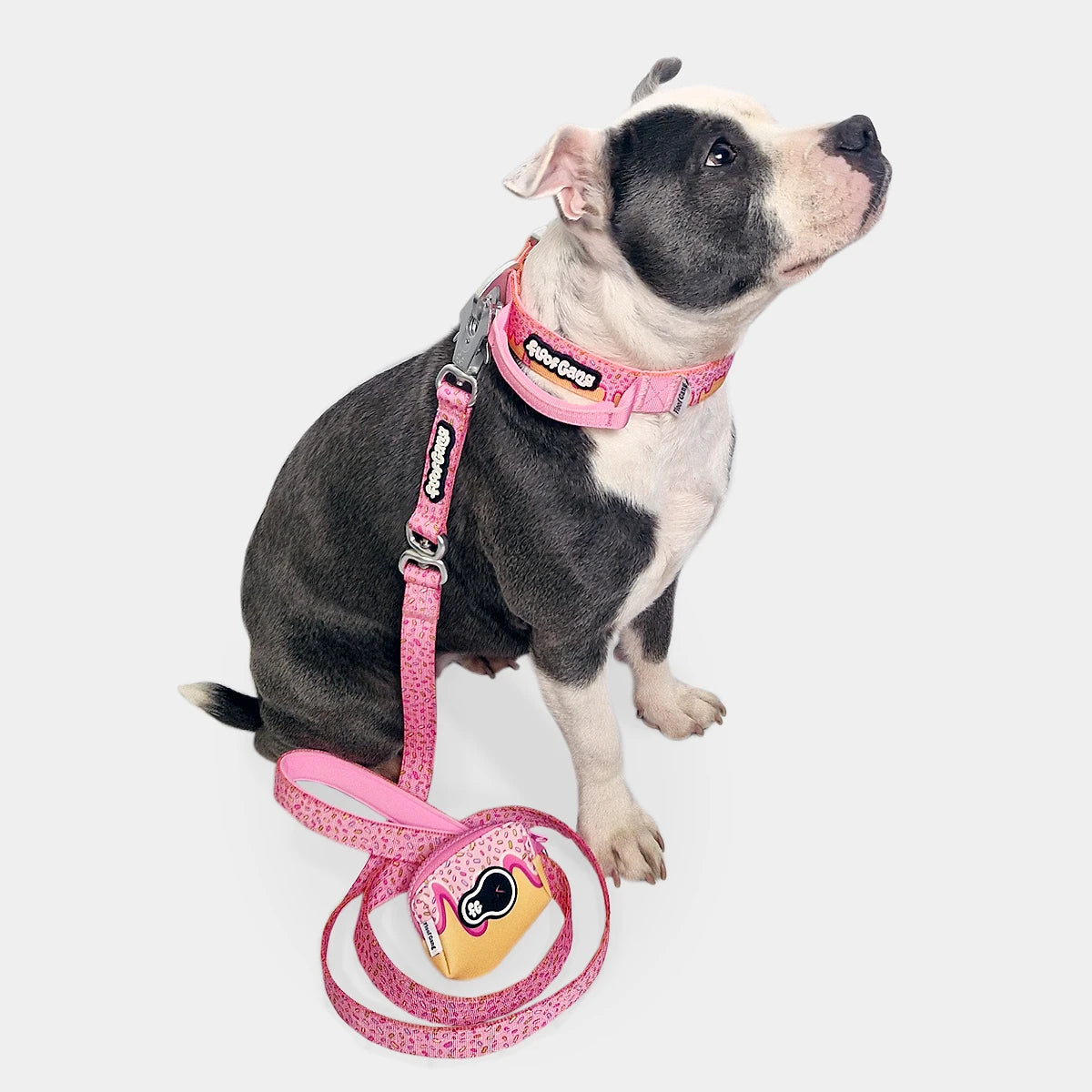 Tactical Dog Collar - 'Glazed' - 3cm - Floof Gang
