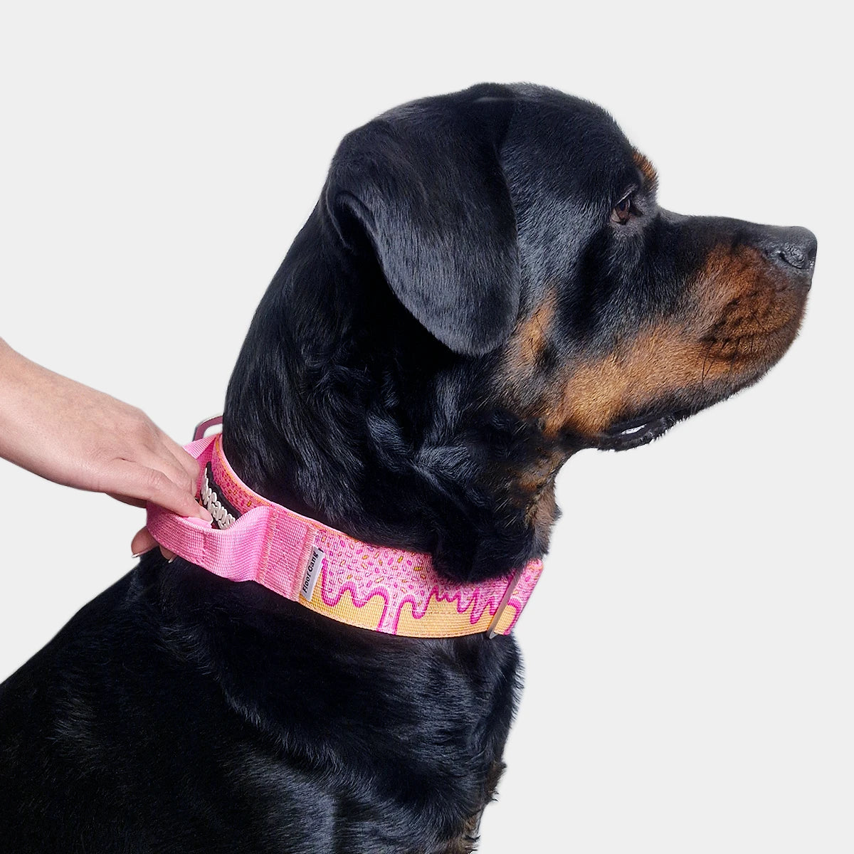 Tactical Dog Collar - 'Glazed' - 5cm - Floof Gang