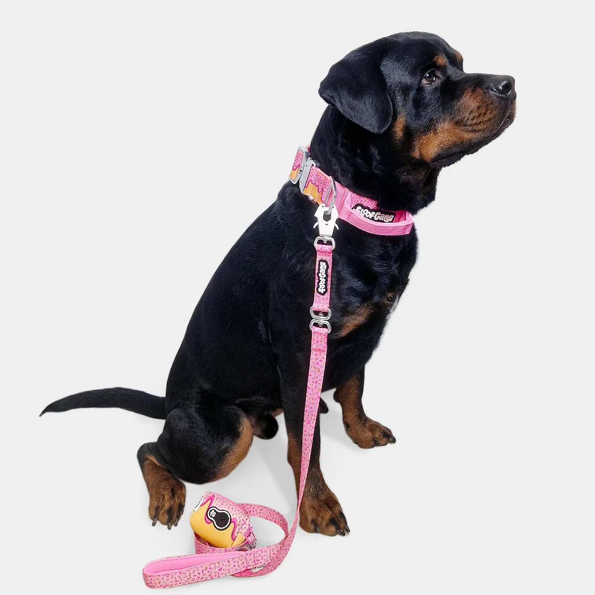 Tactical Dog Lead - 'Glazed' - Large - Floof Gang