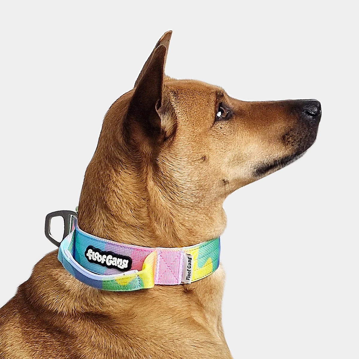 Tactical Dog Set - 'Sherbet' - 4cm - Floof Gang