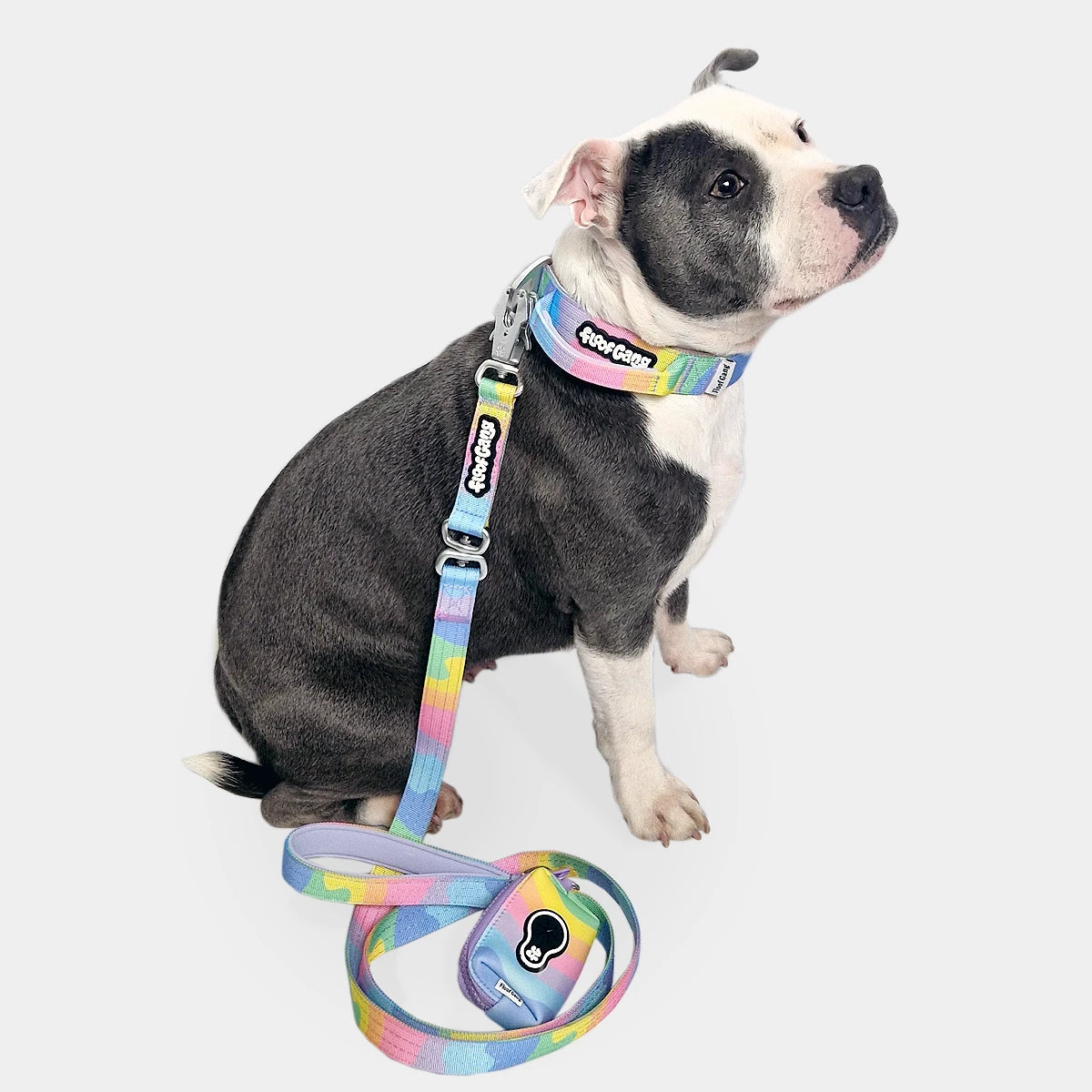 Tactical Dog Collar - 'Sherbet' - 3cm - Floof Gang