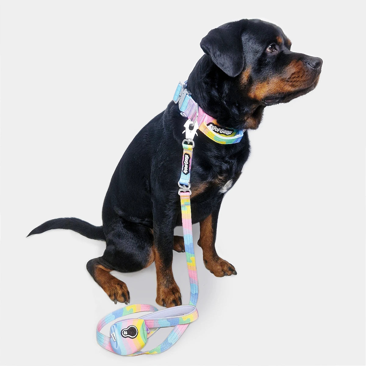 Tactical Dog Lead - 'Sherbet' - Large - Floof Gang