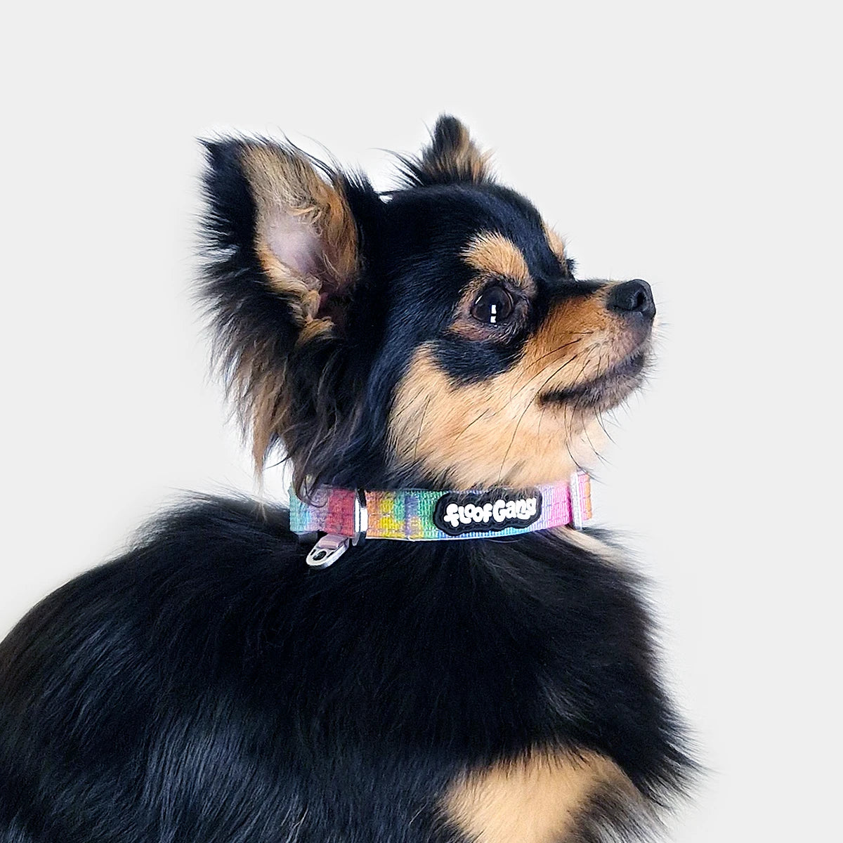Tactical Dog Collar - 'Sherbet' - 1.5cm - Floof Gang