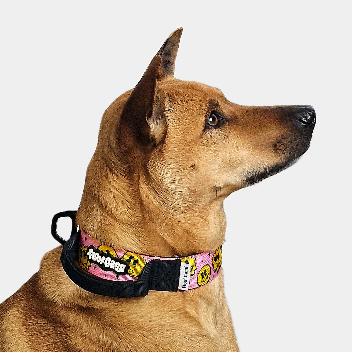 Tactical Dog Collar - 'Trippy Face' - 4cm - Floof Gang