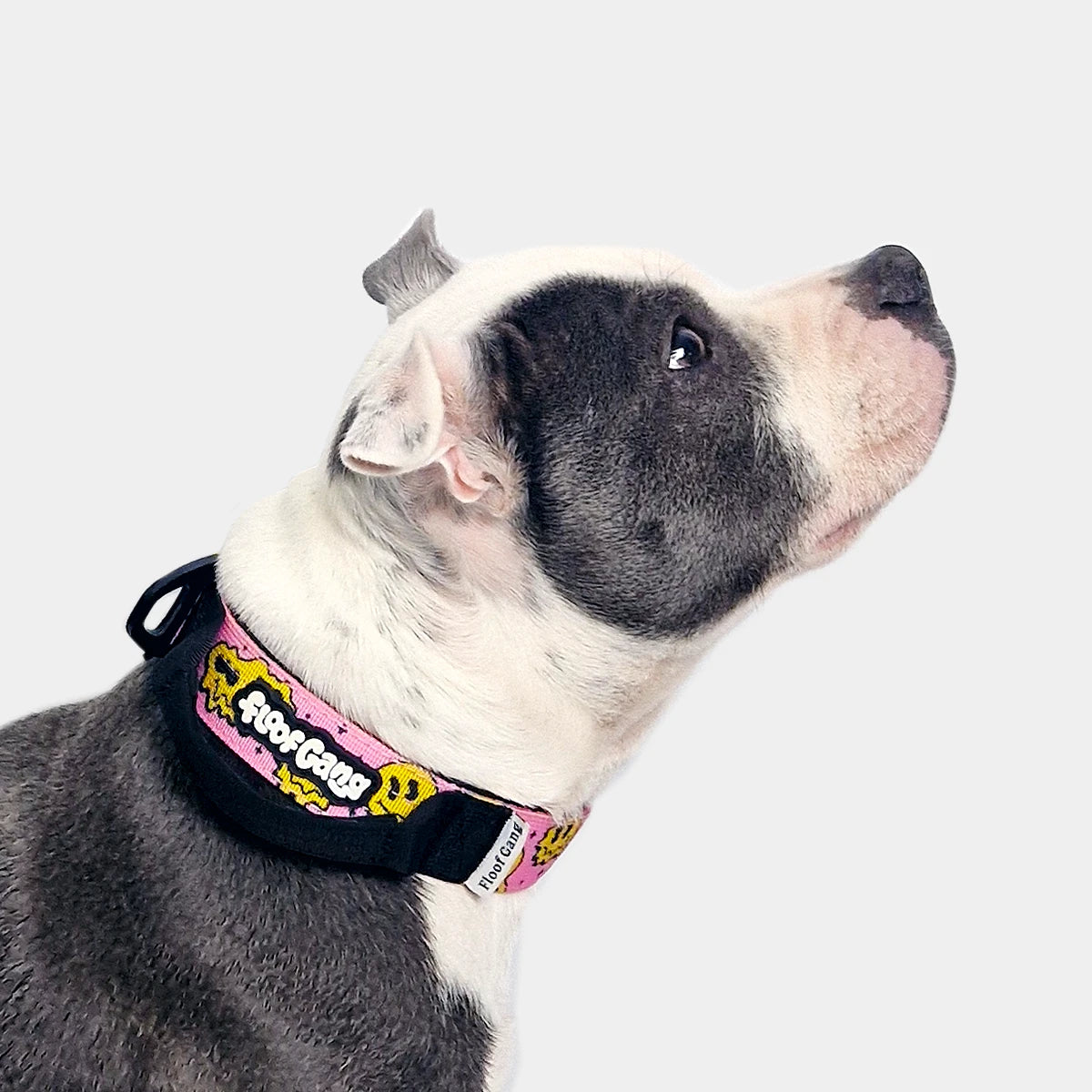 Tactical Dog Collar - 'Trippy Face' - 3cm - Floof Gang