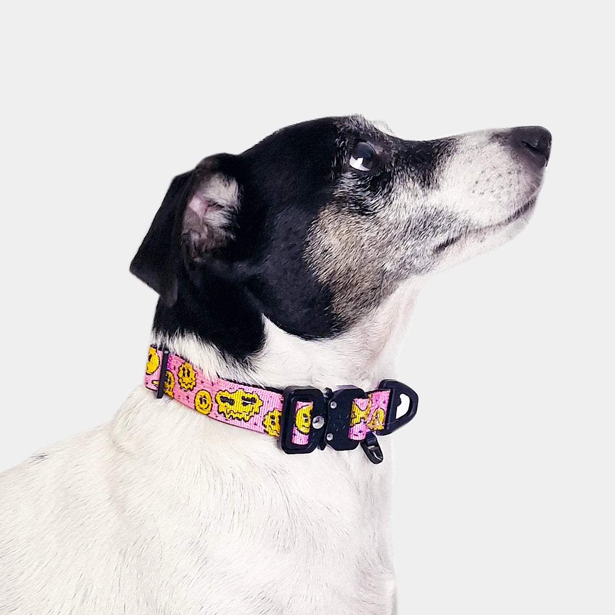 Tactical Dog Set - 'Trippy Face' - 2cm - Floof Gang