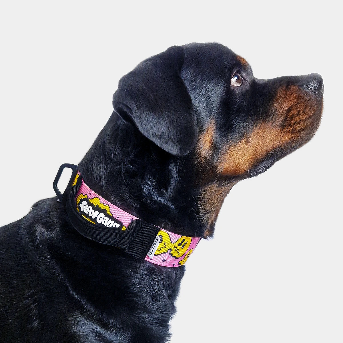 Tactical Dog Collar - 'Trippy Face' - 5cm - Floof Gang