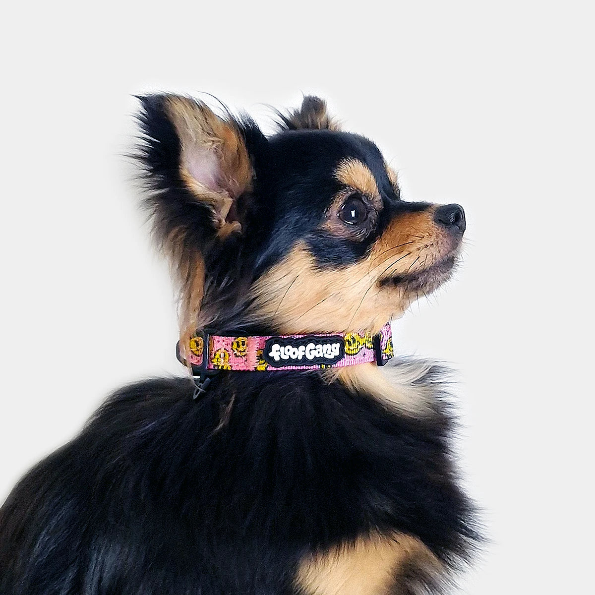Tactical Dog Collar - 'Trippy Face' - 1.5cm - Floof Gang