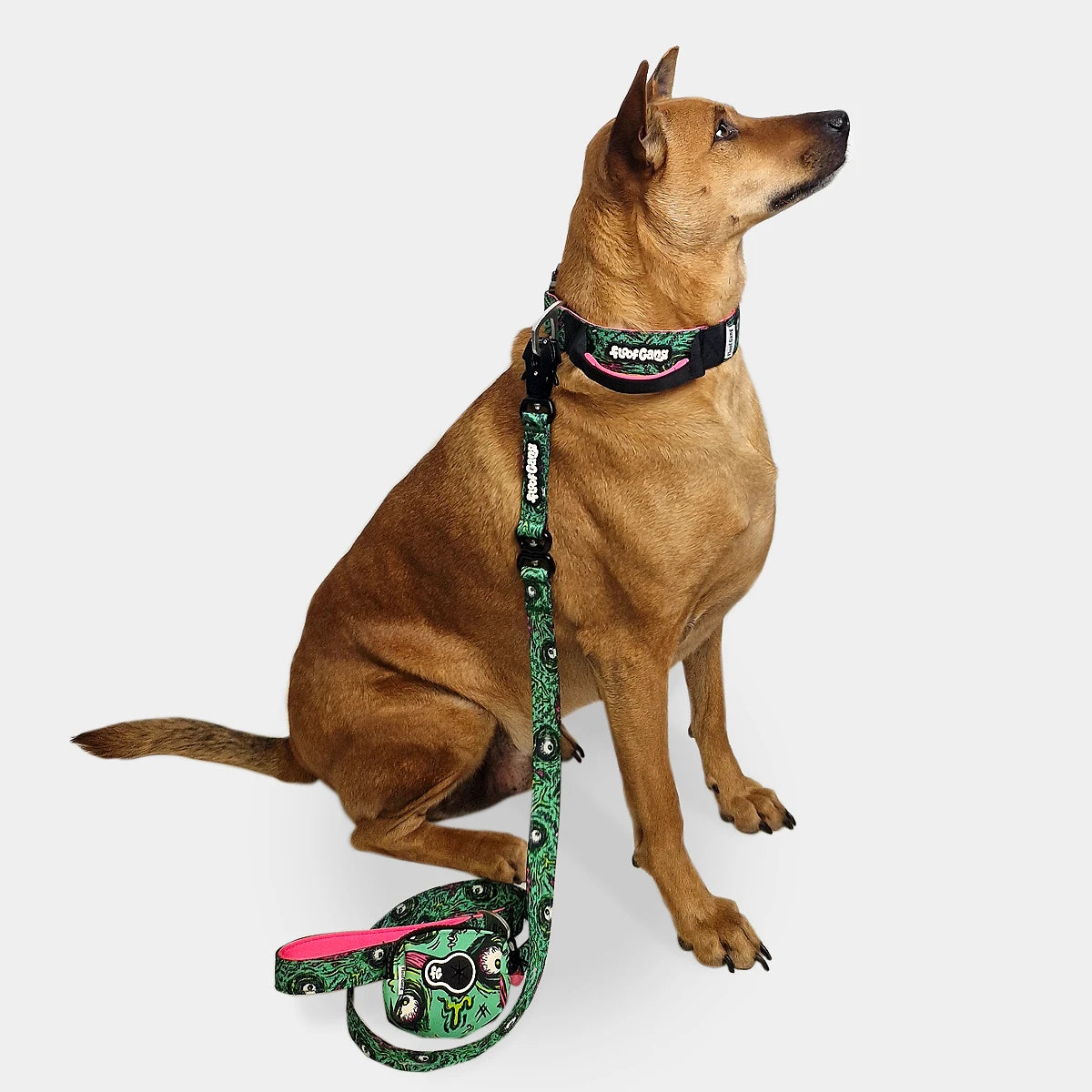 Tactical Dog Collar - 'Zombie' - 4cm - Floof Gang