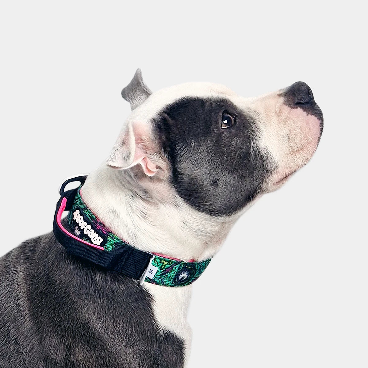 Tactical Dog Collar - 'Zombie' - 3cm - Floof Gang