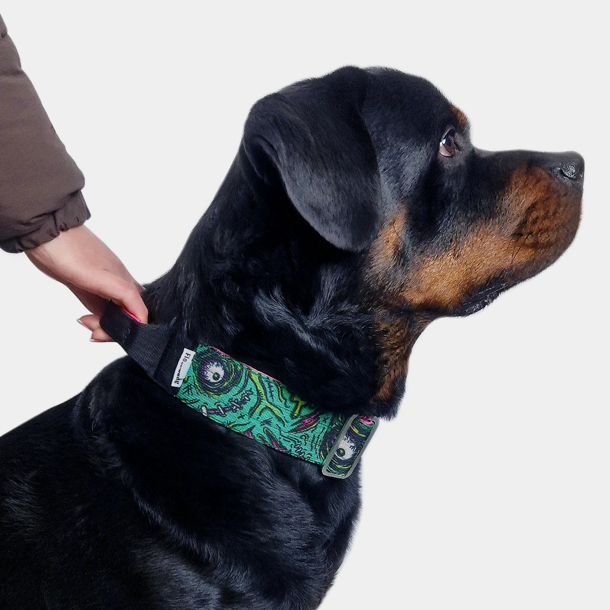 Tactical Dog Collar - 'Zombie' - 5cm - Floof Gang