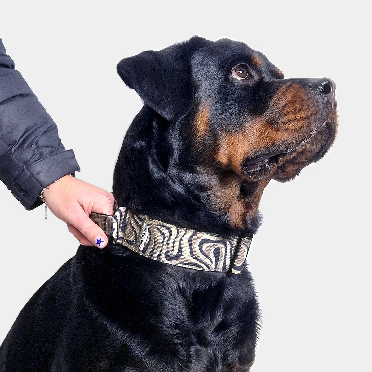 Tactical Dog Collar - 'Desert Camo' - 5cm - Floof Gang