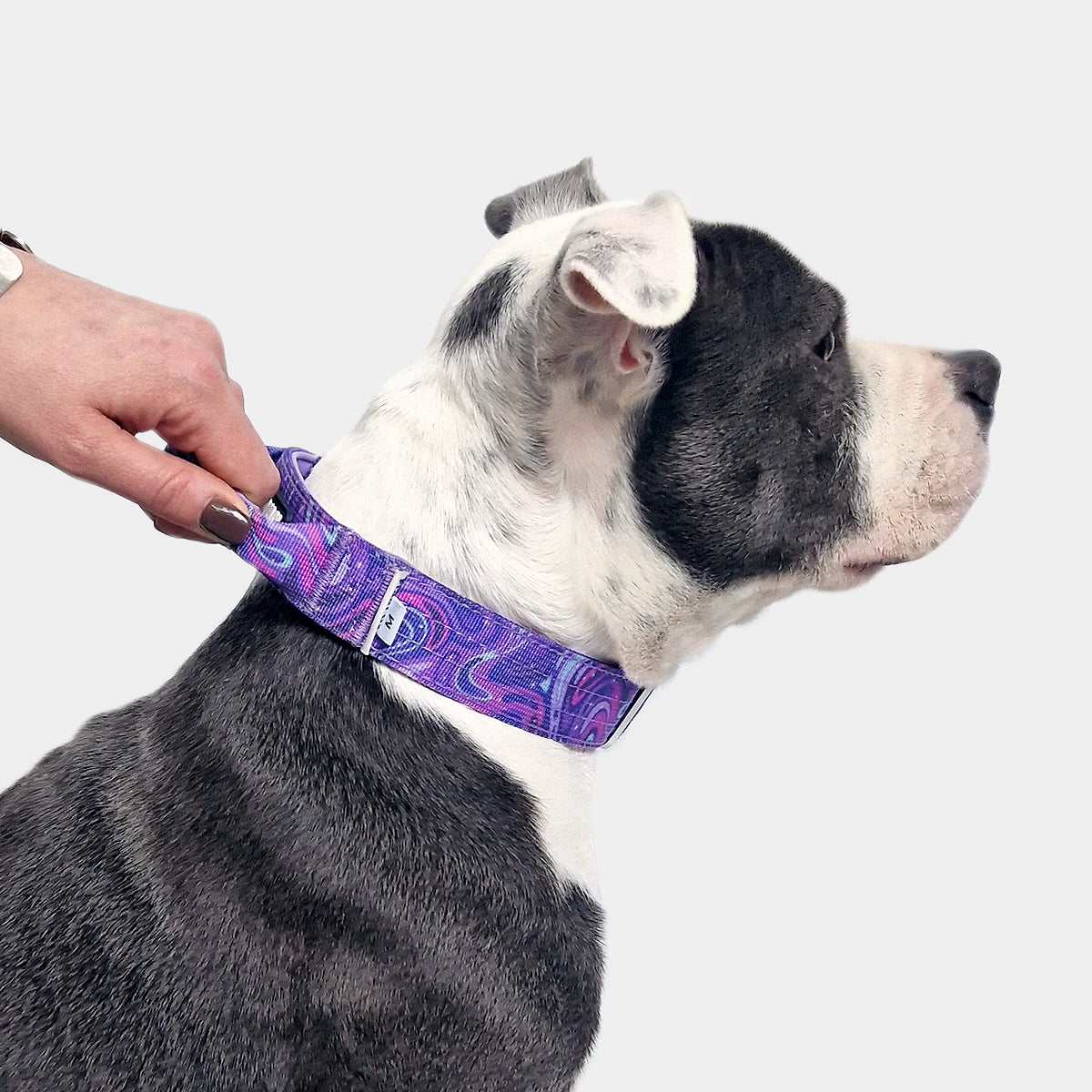 Tactical Dog Collar - 'Galaxy' - 3cm - Floof Gang